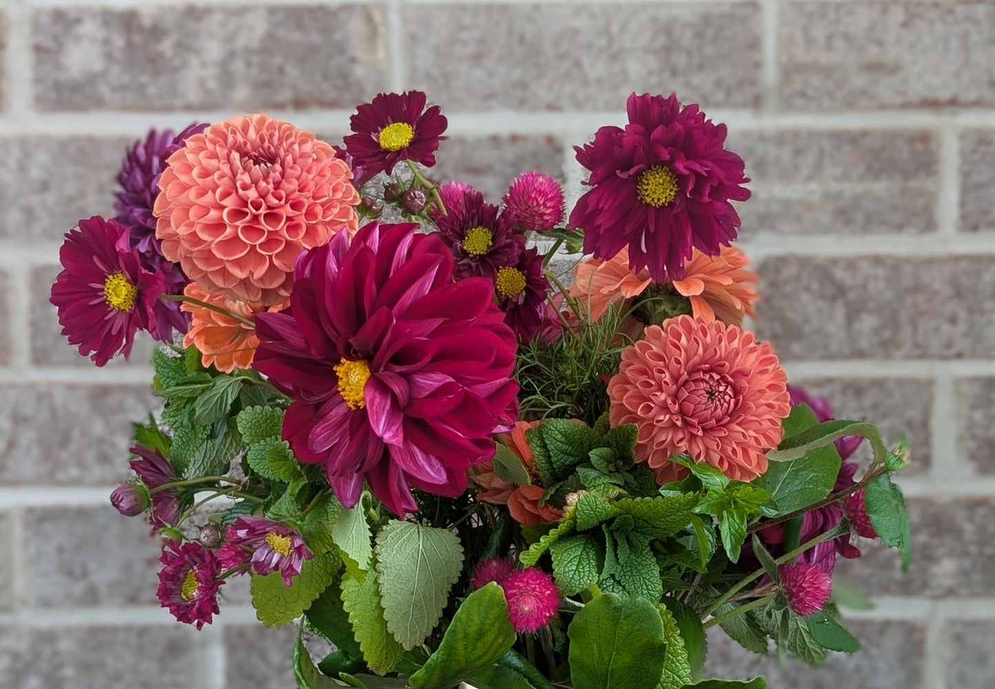 End-of-Summer Subscription