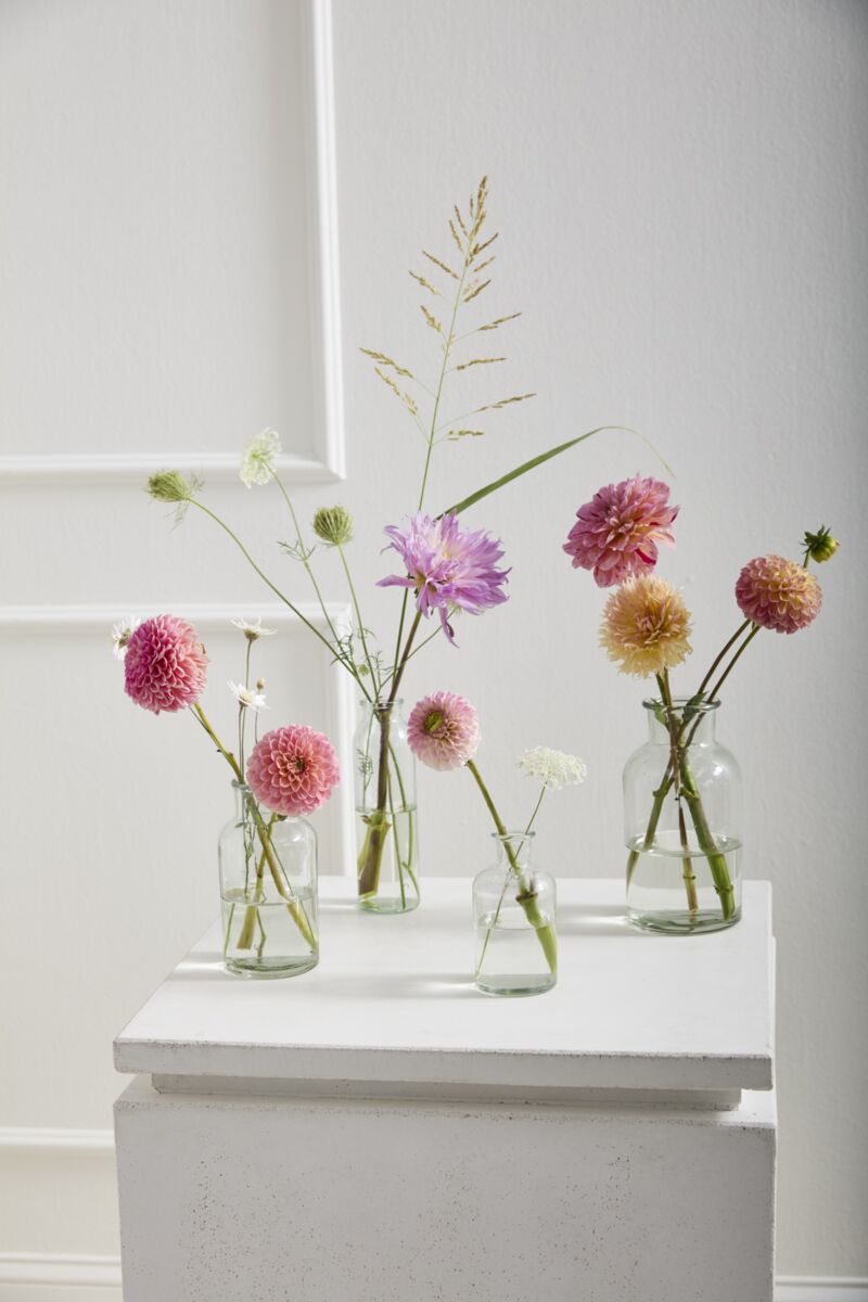 Vase rentals