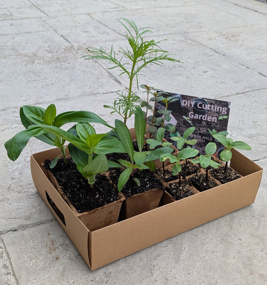 DIY Cutting Garden Kit